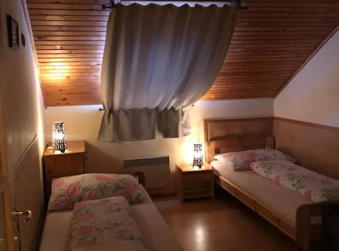Duškovi Сasa de vacaciones *